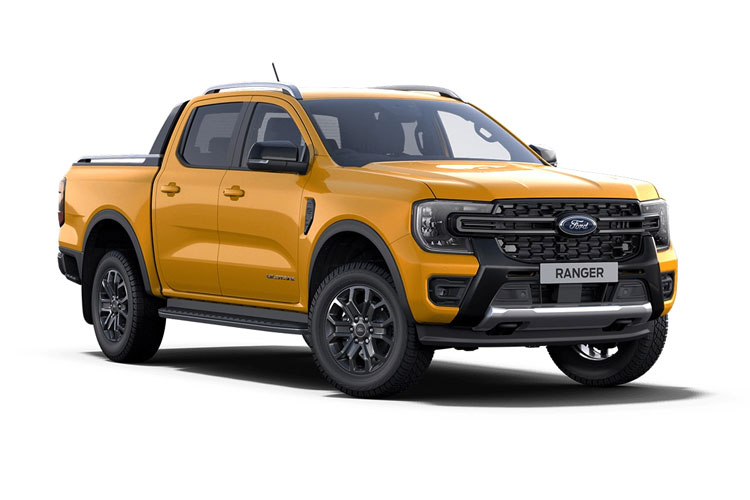 3473102 Pick Up D/Cab Platinum 3.0 EcoBlue V6 240 Auto